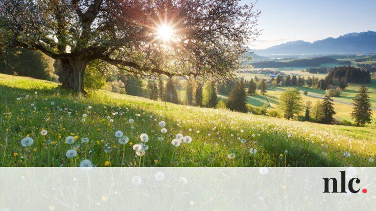 Május energiája új lehetőségeket és inspirációt kínál számunkra. Ez a hónap a megújulás, a növekedés és az új kezdetek időszaka, amikor a természet is újjáéled, és együtt hoz minket közelebb a céljainkhoz. Érdemes kihasználni ezt az erőt, hogy felfedezzük