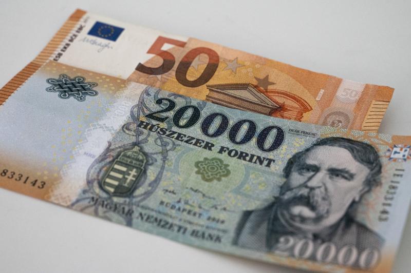 Létezik olyan állami cégvezető, aki már euróban kapja a bérét.