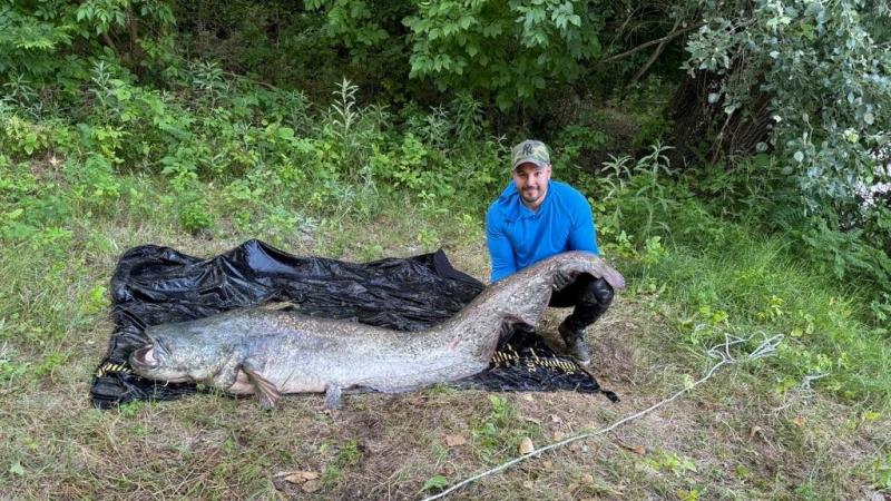 Felfedezték a Tisza lenyűgöző, 250 centis titkos óriását | Sokszínű táj

A Tisza folyó mélyén rejtőzködött egy impozáns, 250 centiméteres óriás, amelyet végre sikerült kifogni. Ez a csodálatos felfedezés nemcsak a helyi horgászok számára izgalmas, hanem a