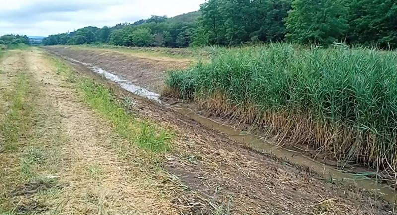 A tiltakozások eredményeként a vízügyi hatóság felfüggesztette a Zagyva kotrását.