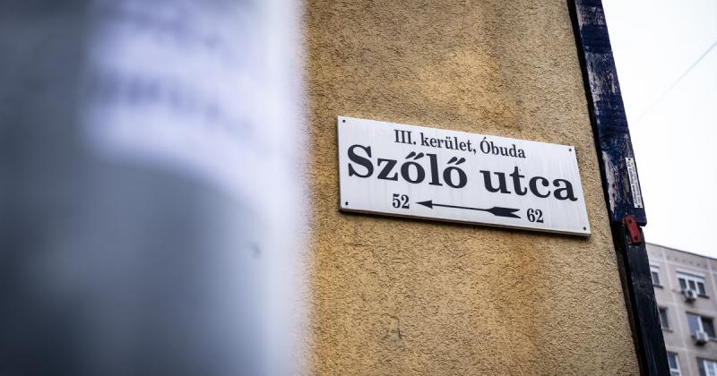 Juhász Péter: Van egy aggasztó hírem 