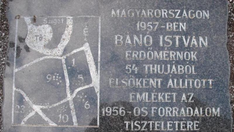 A forradalom elfojtása után fél évvel, titkos körülmények között jött világra az ország.
